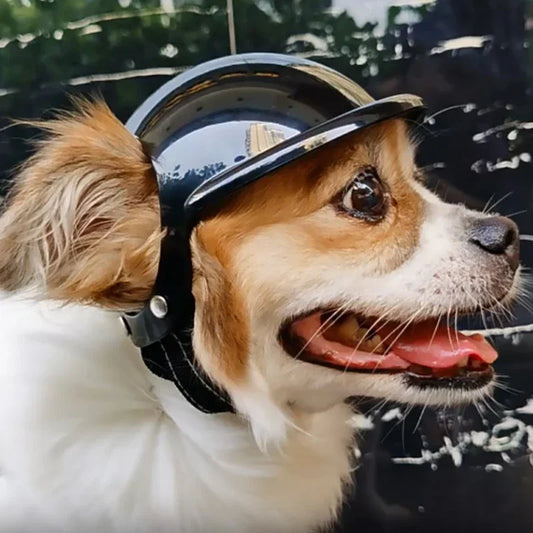 Cool Black Pet Dog Bicycle Safety Hat Adjustable Straps Helmets