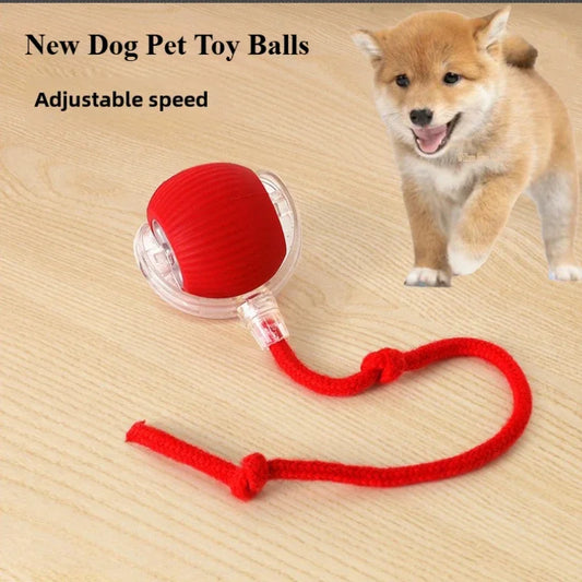 Rechargeable Smart Pet Interactive Automatic Rolling Ball