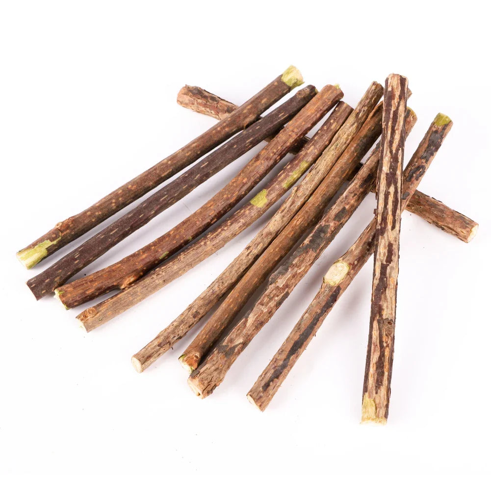 Catnip Chew Sticks Silvervine Natural Molar ๐ฟ