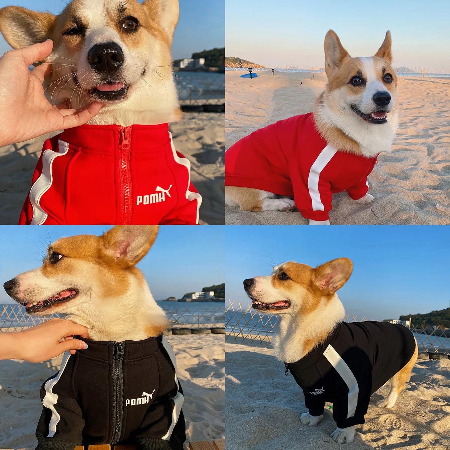 Cozy Dog Sweater - Winter Pet Clothing