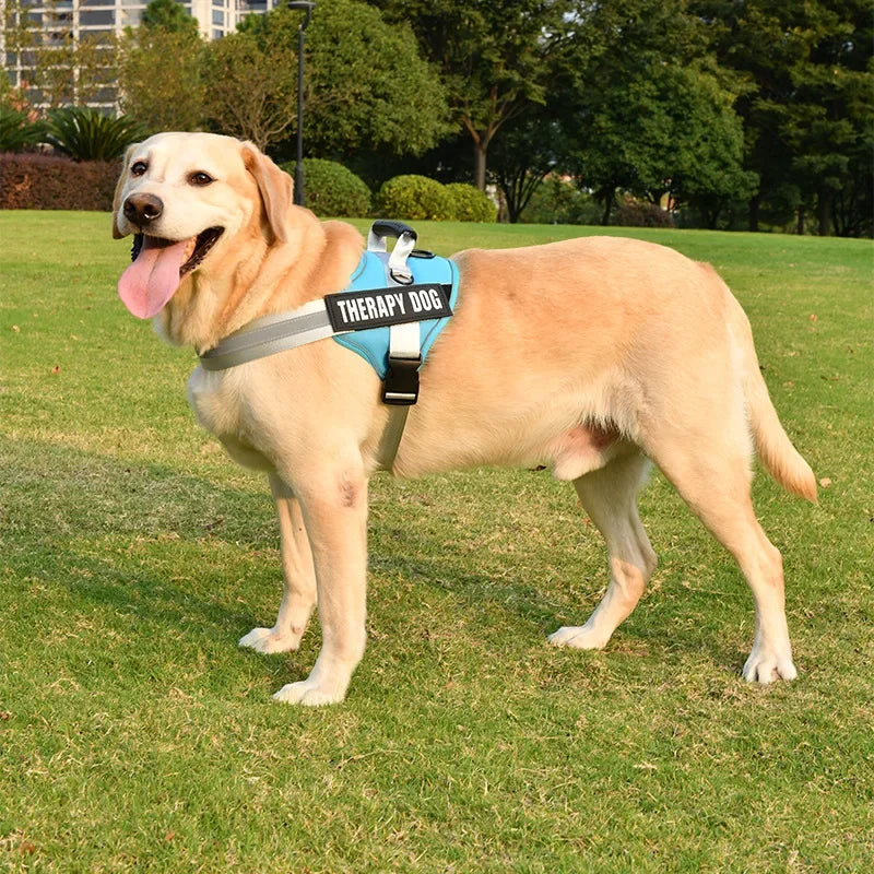 Reflective Breathable Dog Harness - Purrfect Pet Kingdom