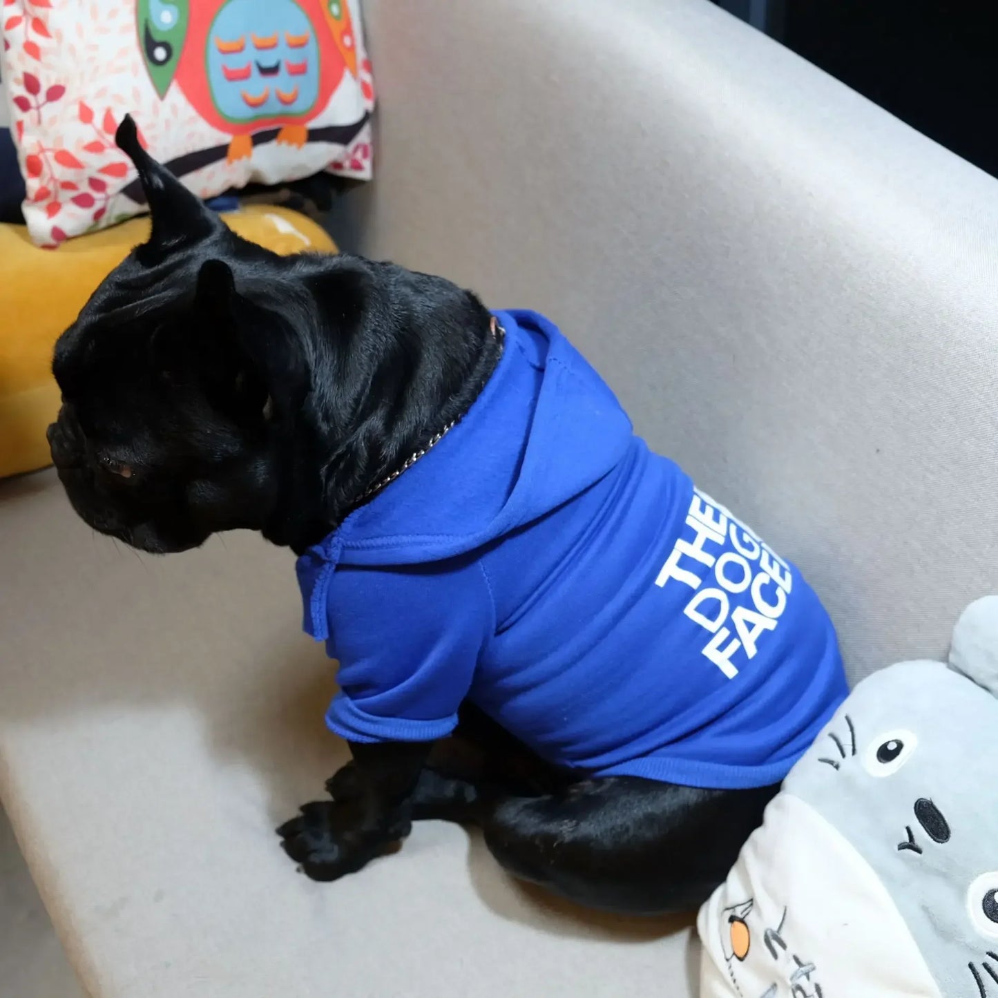 Dog Face Print Hoodie - Winter Jacket for Large Dogs