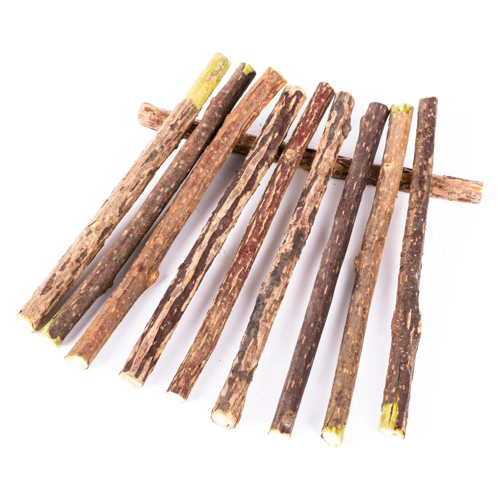 Catnip Chew Sticks Silvervine Natural Molar ๐ฟ