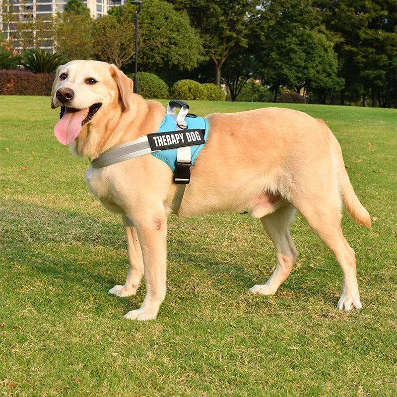 Reflective Breathable Dog Harness - Purrfect Pet Kingdom