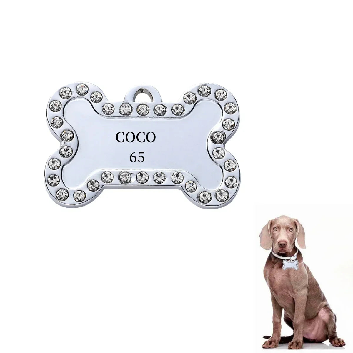 Custom Pet ID Tag - VIP Engraved Safety Nameplate
