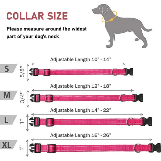 Reflective Adjustable Nylon Dog Collar Strap โ Safety Traction Rope - WTN Essentials