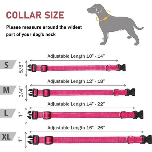 Adjustable Reflective Nylon Dog Collar – Enhanced Safety