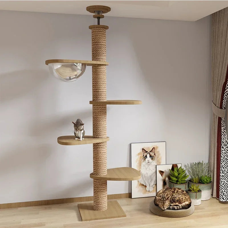 Multi Layer Solid Wood Cat Climbing Frame ๐ฑ