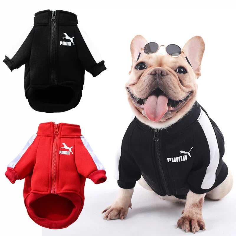 Cozy Winter Puma Dog Coat - Purrfect Pet Kingdom