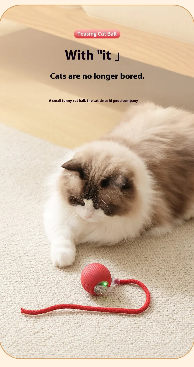 Rechargeable Interactive Smart Cat Toy - Automatic Rolling Ball Pet Accessories