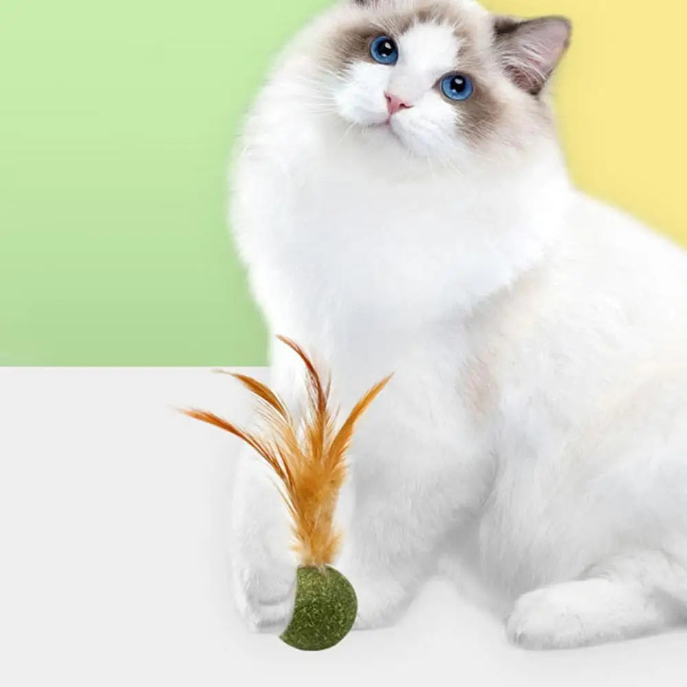 Cat Catnip Toy Feather Ball Teeth Cleaning ✅