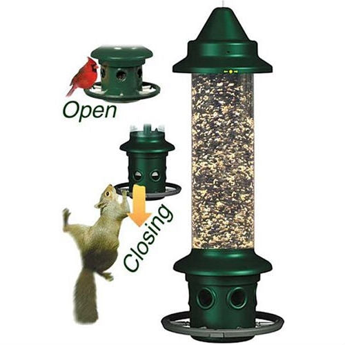 Bird Feeder – Squirrel-Proof Outdoor Design with Perch Ring