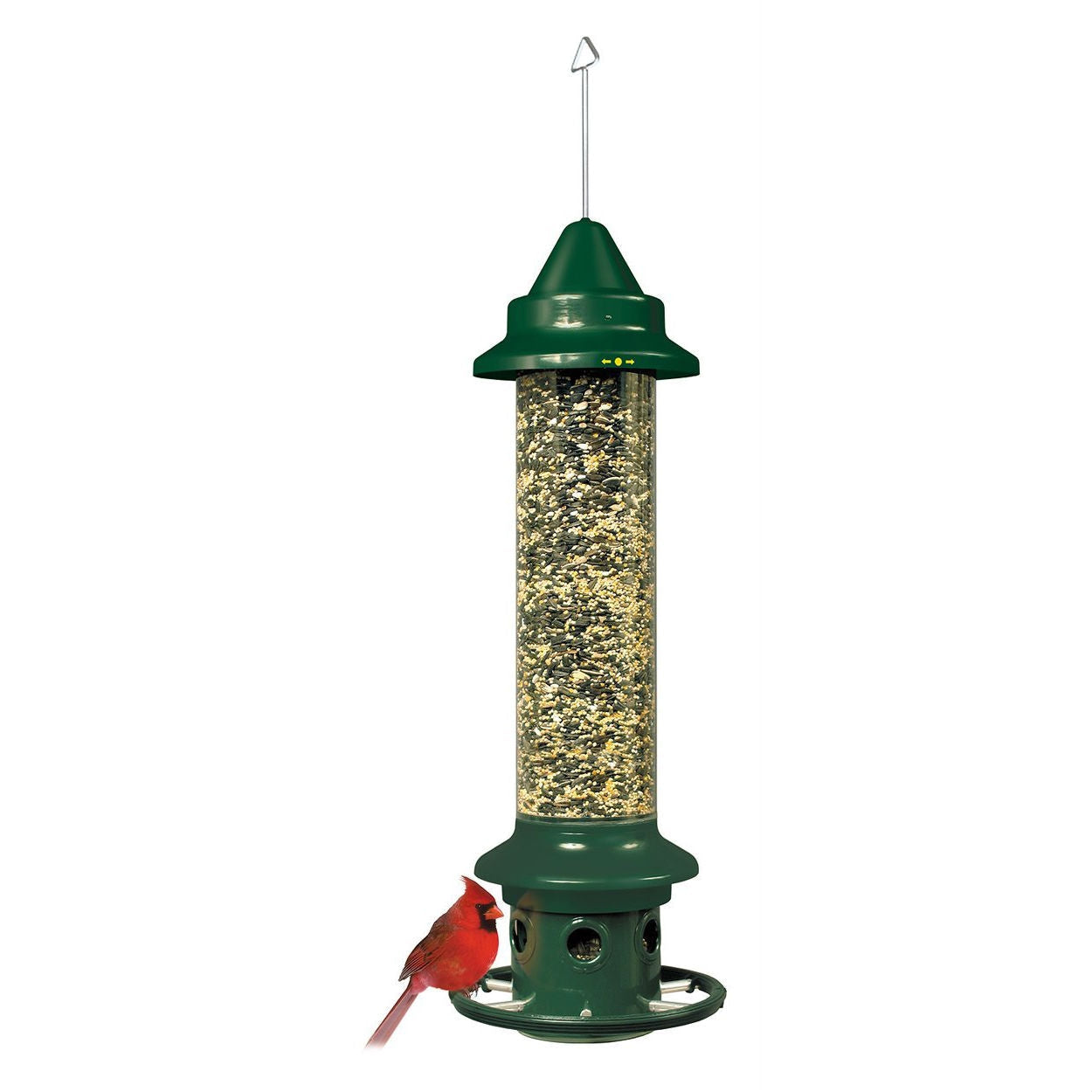 Bird Feeder – Squirrel-Proof Outdoor Design with Perch Ring