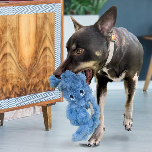 KONG Scrumplez Bunny Durable Plush Dog Toy