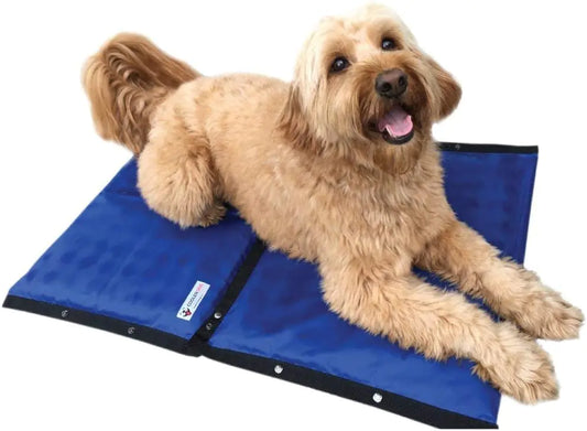 CoolerDog Dog Cooling Pad Dog Cooling Products Hydro Cooling Mat (23"x18") (2 Pack) - Berry Charmz - 2 Pack - B07NQQ9KK2