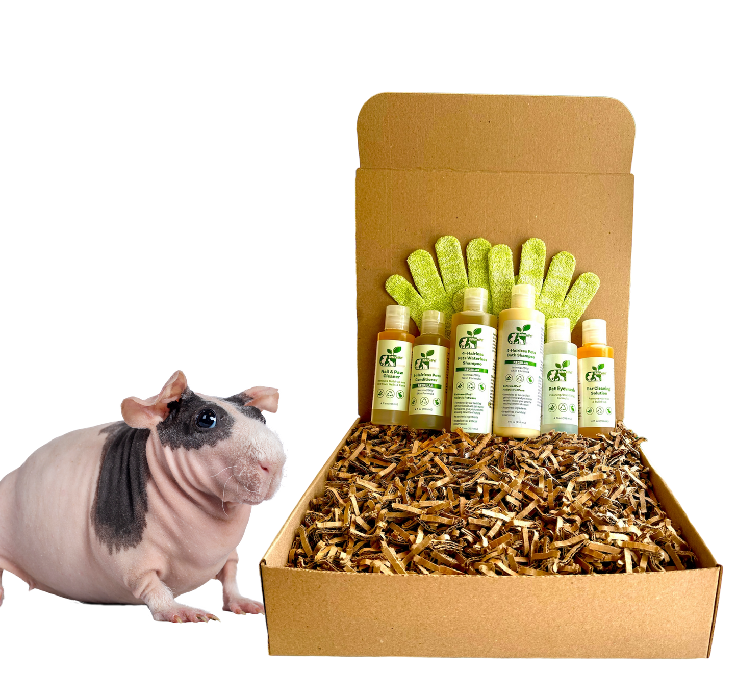 4 - HAIRLESS PETS *SKINNYPIG REGULAR KIT - 4 Nudie Pets - ReNewedPet