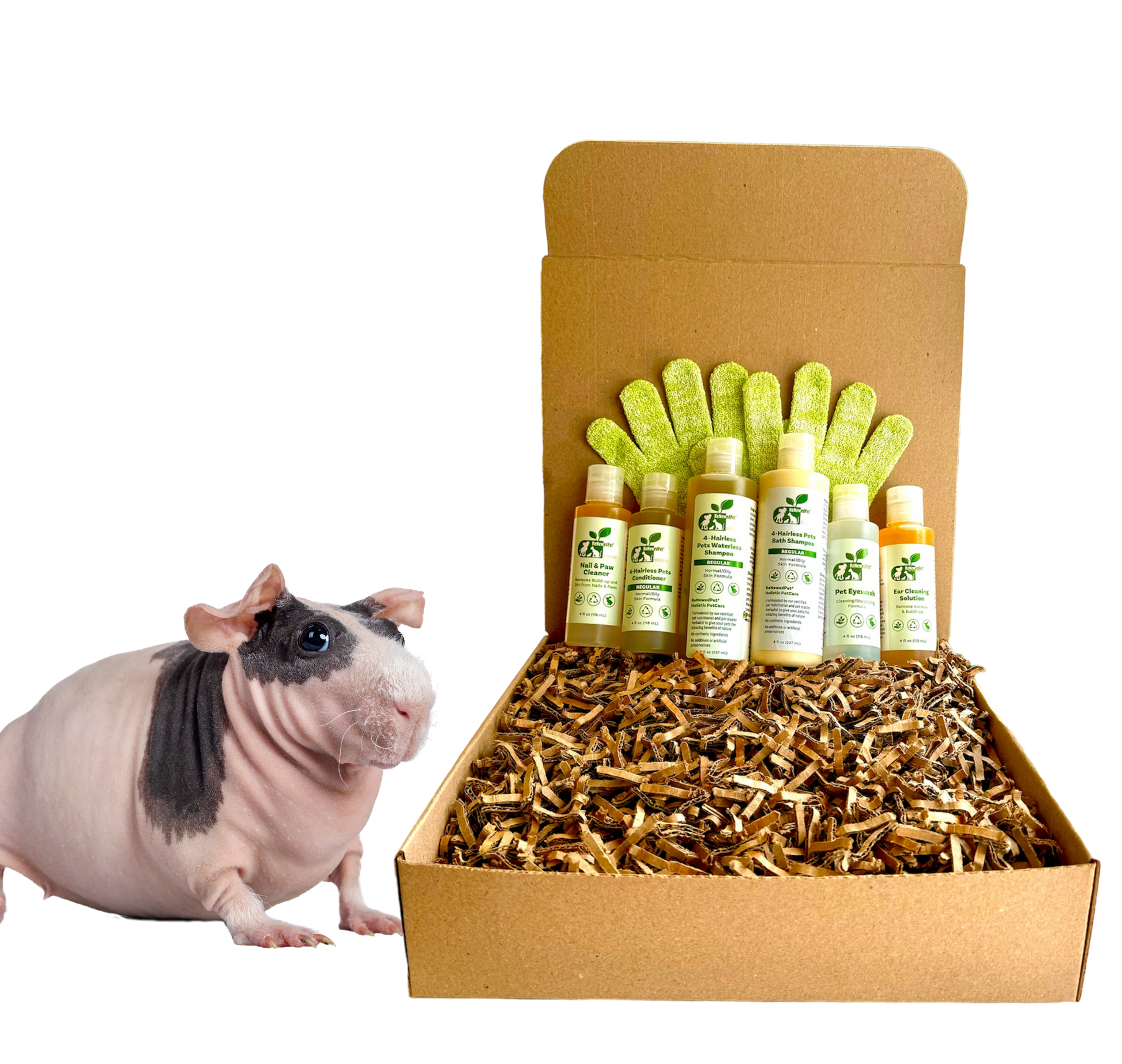 4 - HAIRLESS PETS *SKINNYPIG REGULAR KIT - 4 Nudie Pets - ReNewedPet