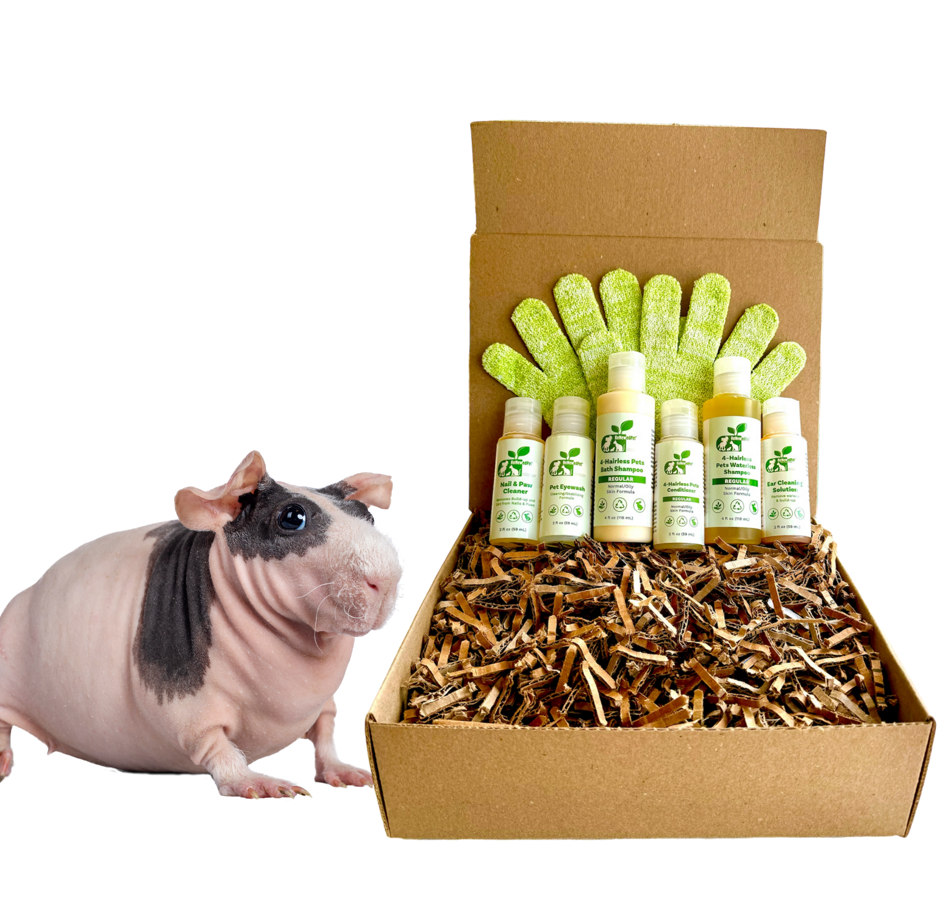 4 - HAIRLESS PETS *SKINNYPIG REGULAR KIT - 4 Nudie Pets - ReNewedPet