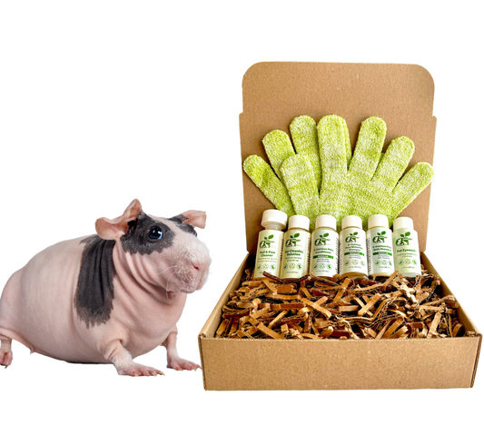 4 - HAIRLESS PETS *SKINNYPIG REGULAR KIT - 4 Nudie Pets - ReNewedPet - SAMPLE SIZE ($6.66/oz.) - 4HSKINNYREGSAMPLEKIT