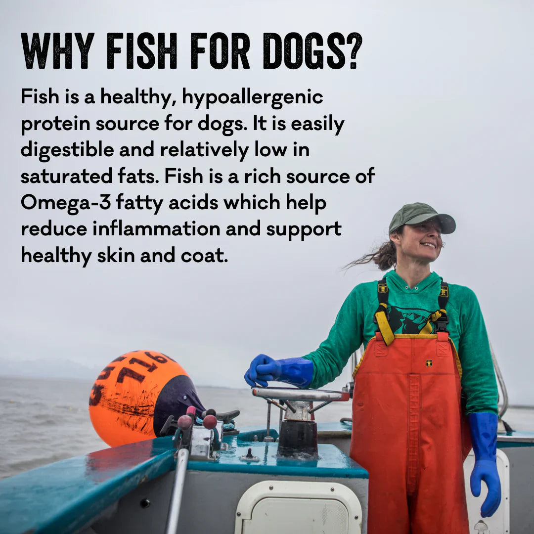 Polkadog Cod Skin Jerky Shorties (2oz) - Dog Treats - The Family Pet