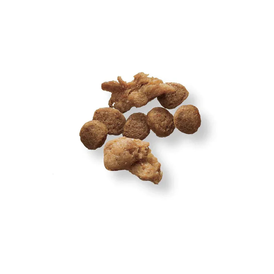 Pro Plan Adult Small Breed Shredded Blend Chicken & Rice Formula Dry Dog Food (6lb) - Dry Dog Food - The Family Pet