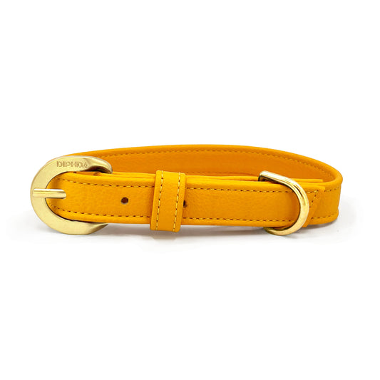 Sunflower Cactus Collar - Purrfect Pet Kingdom