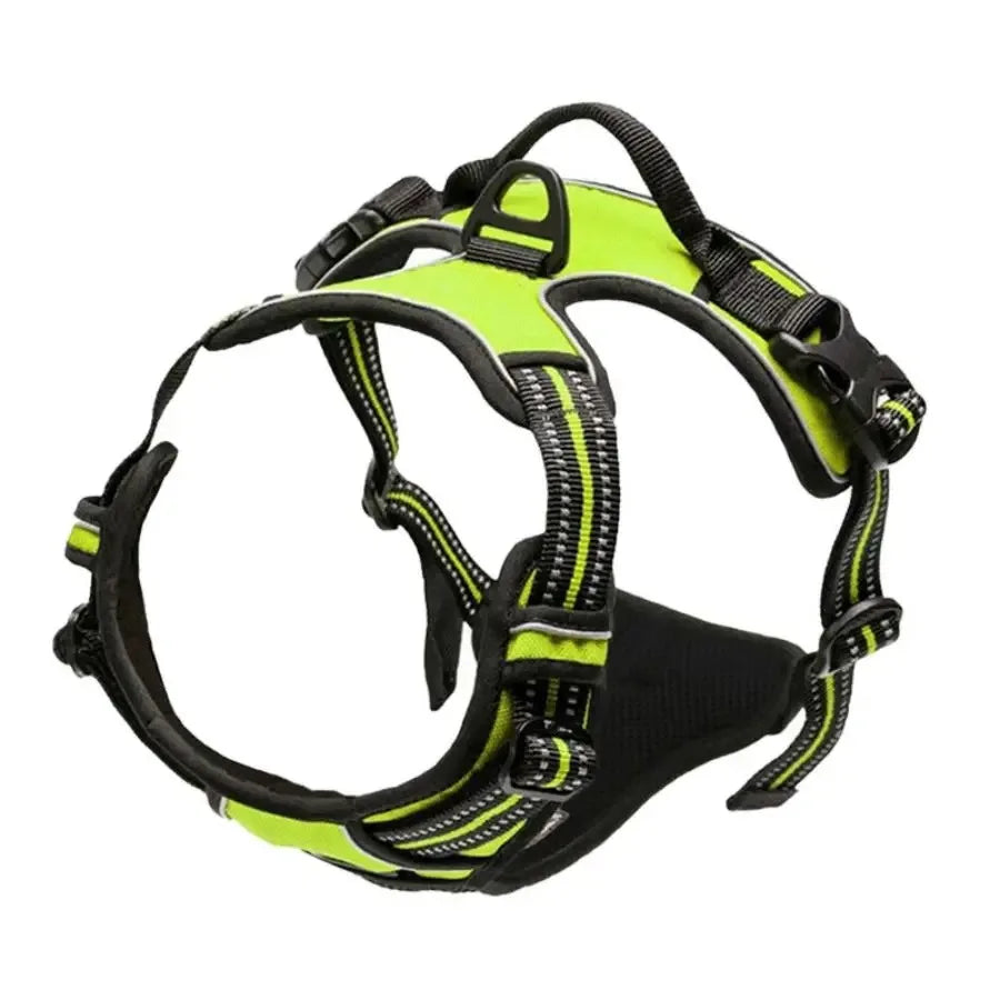 Dog Collar, Harness & Leash Set – Leather for Small & Medium Dogs
