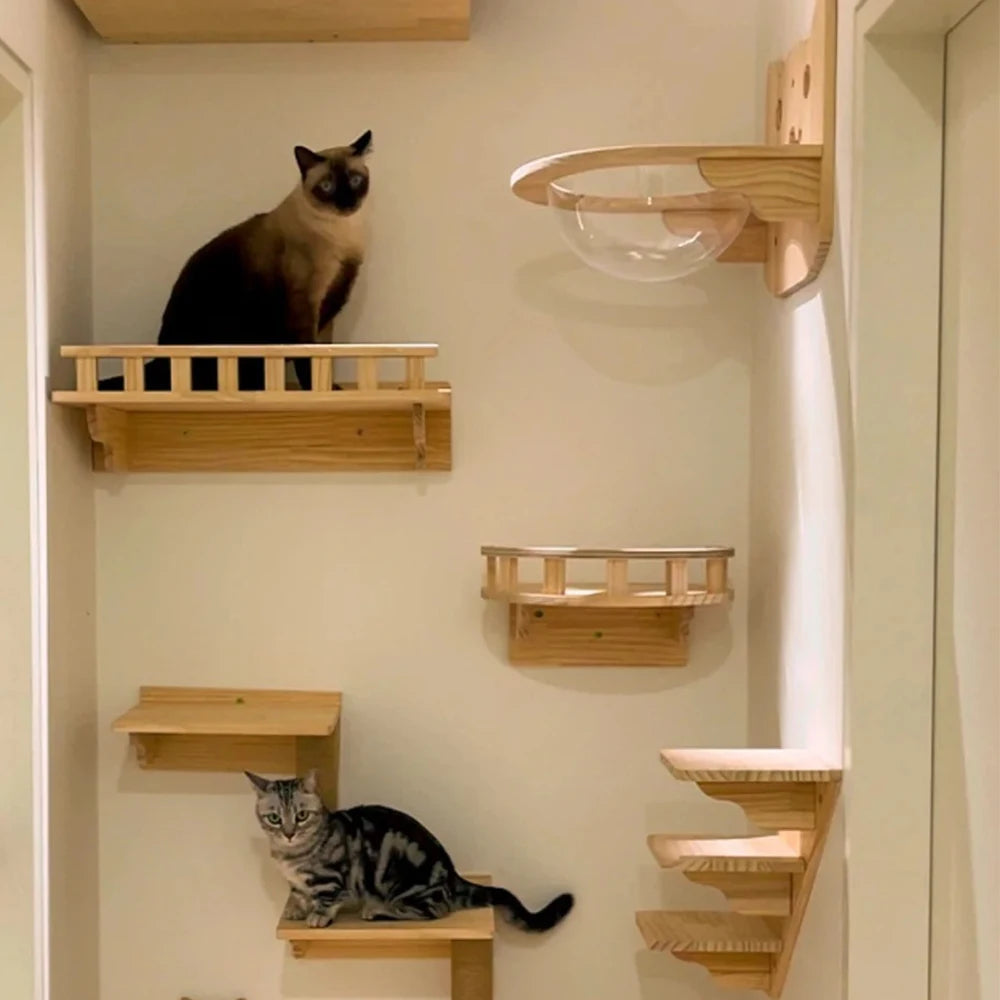 Wall Mounted Cat Tree Shelves Hammock Ladder Space Saving ✅