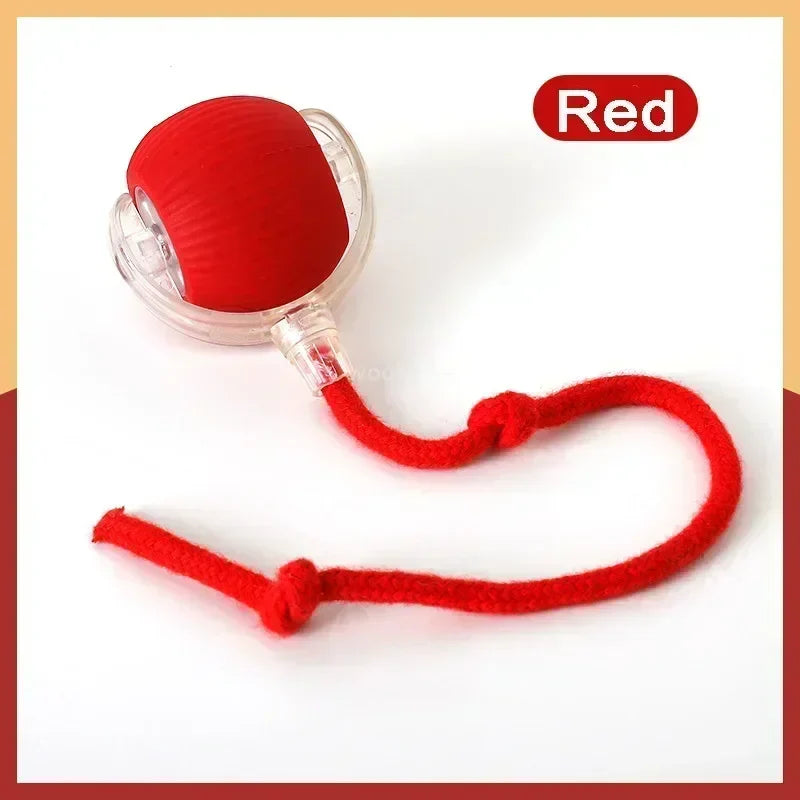Rechargeable Interactive Smart Cat Toy - Automatic Rolling Ball Pet Accessories