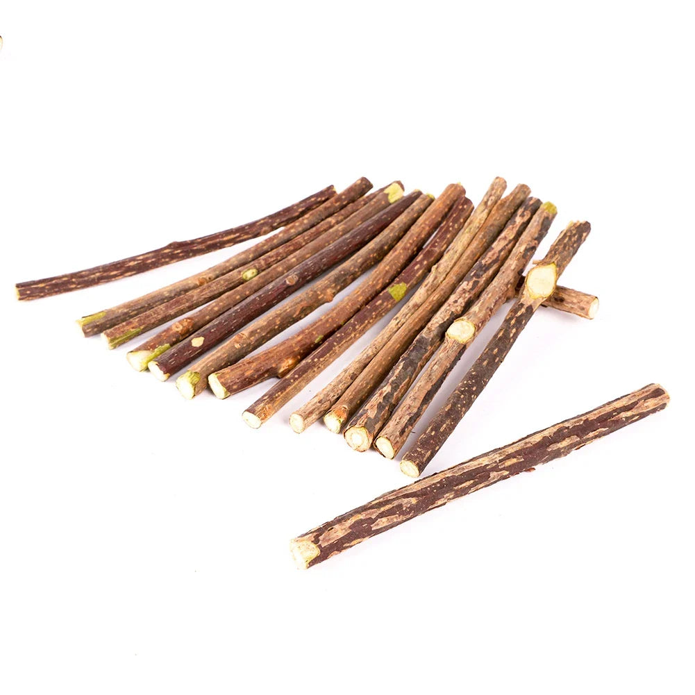 Catnip Chew Sticks Silvervine Natural Molar ๐ฟ