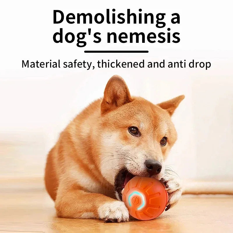 Dog Toy Ball Smart Auto Bouncing USB ⚽