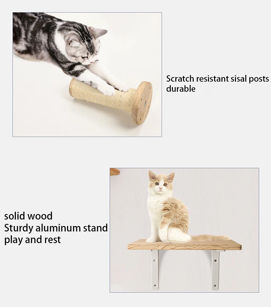 Wall-Mounted Cat Climbing System - Purrfect Pet Kingdom