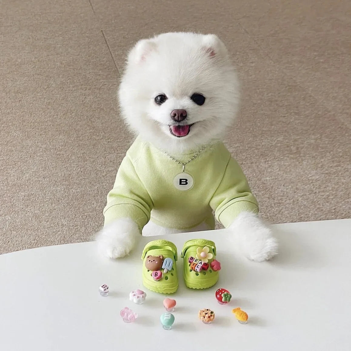 šļø Trendy Pet Beach Shoes - Instagram-Worthy Breathable Paradise with DIY Charm