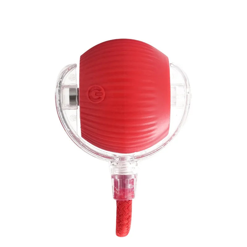 Rechargeable Interactive Smart Cat Toy - Automatic Rolling Ball Pet Accessories