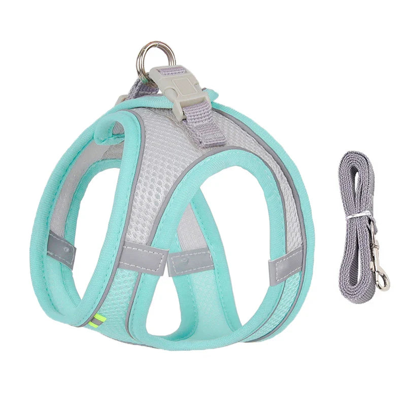 Small Dog Harness Set - Purrfect Pet Kingdom