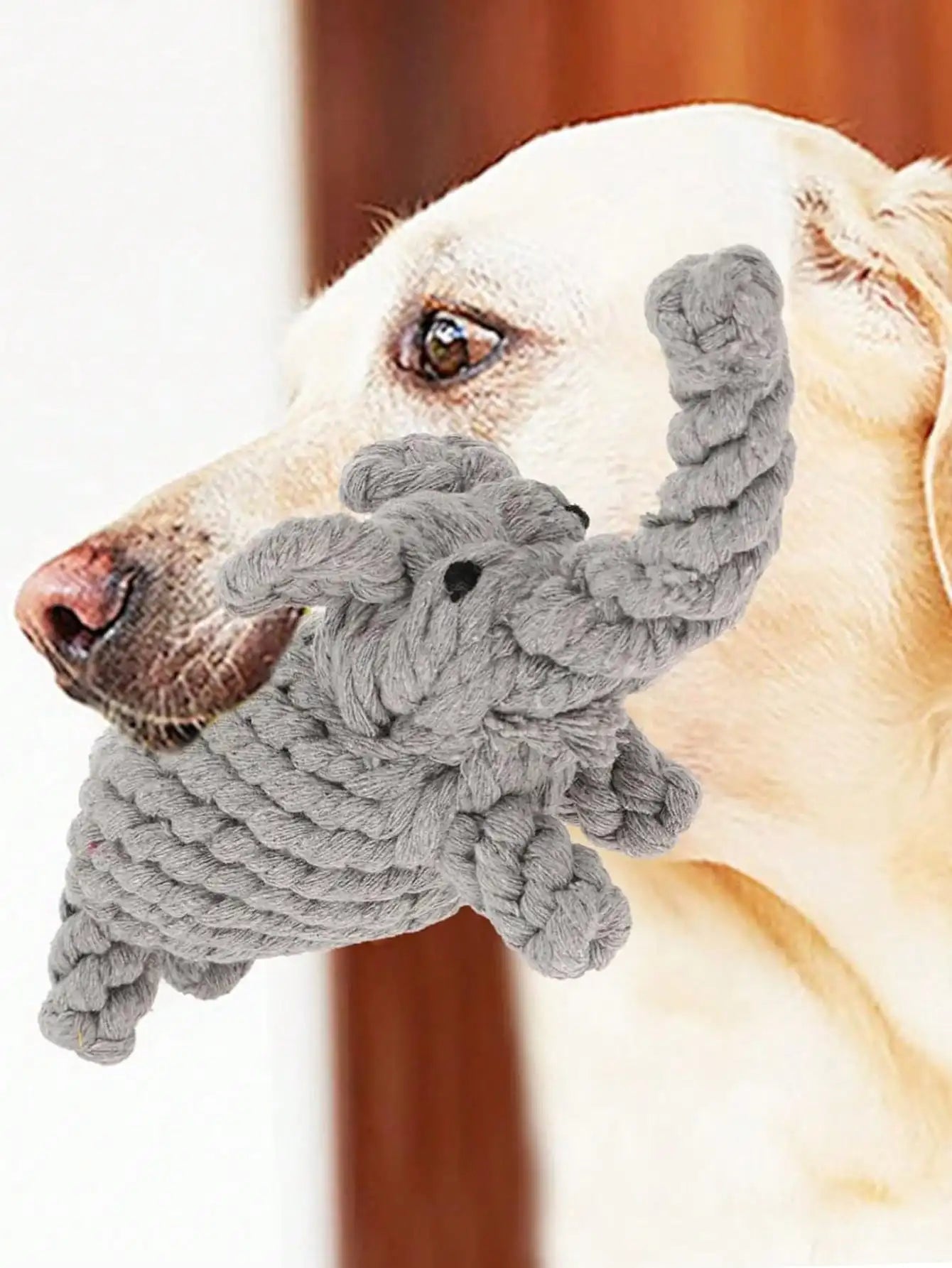 Hand-Woven Cotton Rope Dog Toy - Teeth Resistant Natural Chew