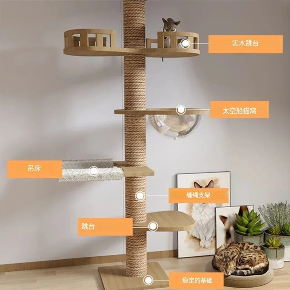 Multi Layer Solid Wood Cat Climbing Frame ๐ฑ