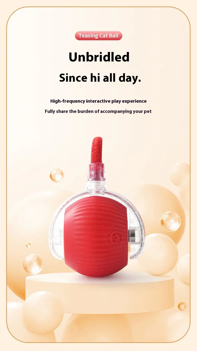Rechargeable Interactive Smart Cat Toy - Automatic Rolling Ball Pet Accessories