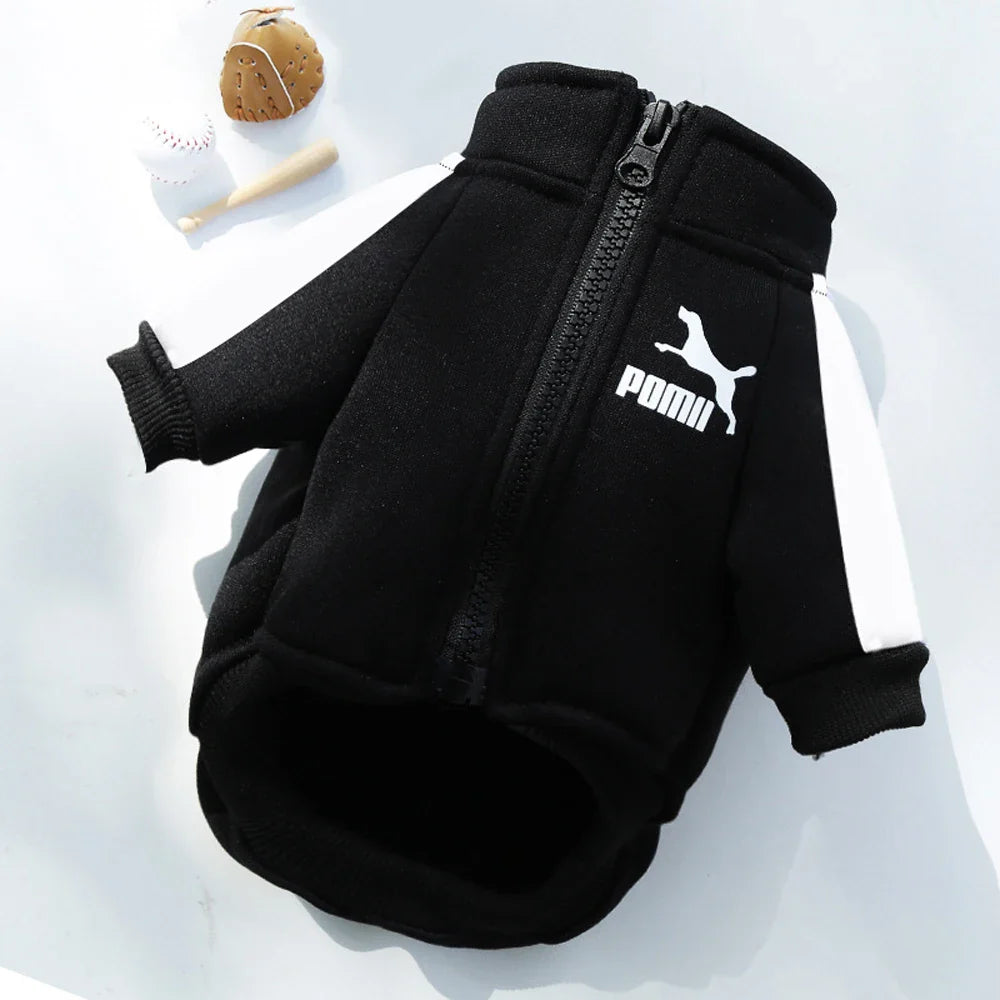 Cozy Dog Sweater - Winter Pet Clothing
