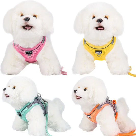 Adjustable Dog Harness & Leash Set for Small Dogs – Comfortable & Safe Walking Gear - WTN Essentials