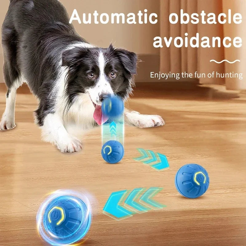 Dog Toy Ball Smart Auto Bouncing USB ⚽