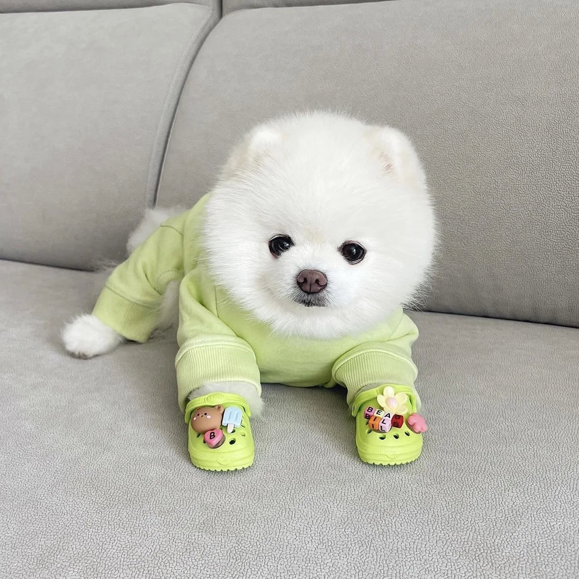 šļø Trendy Pet Beach Shoes - Instagram-Worthy Breathable Paradise with DIY Charm