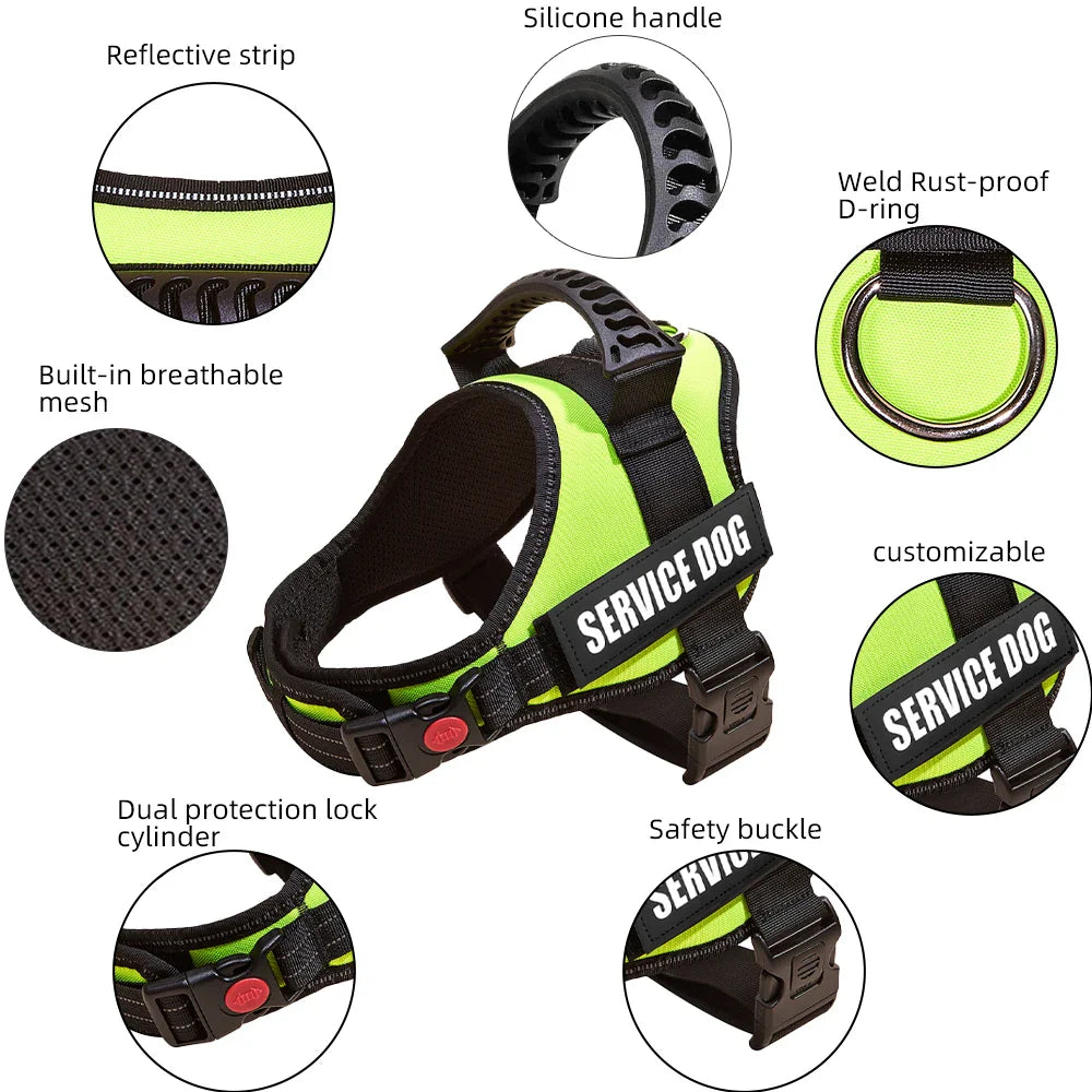 Safe No-Pull Dog Harness - Purrfect Pet Kingdom