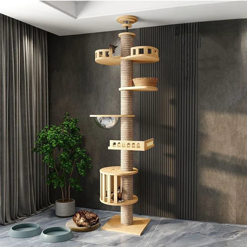 Multi Layer Solid Wood Cat Climbing Frame ๐ฑ