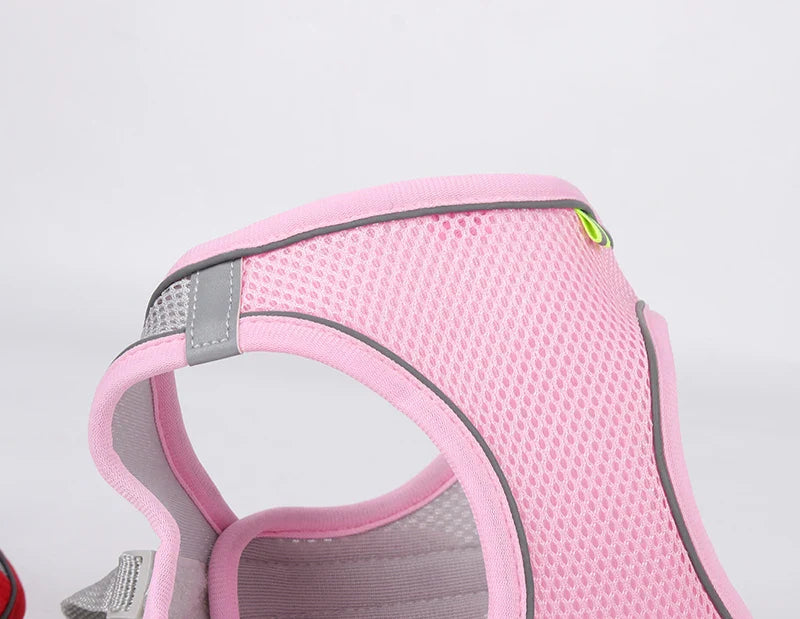 Small Dog Harness Set - Purrfect Pet Kingdom