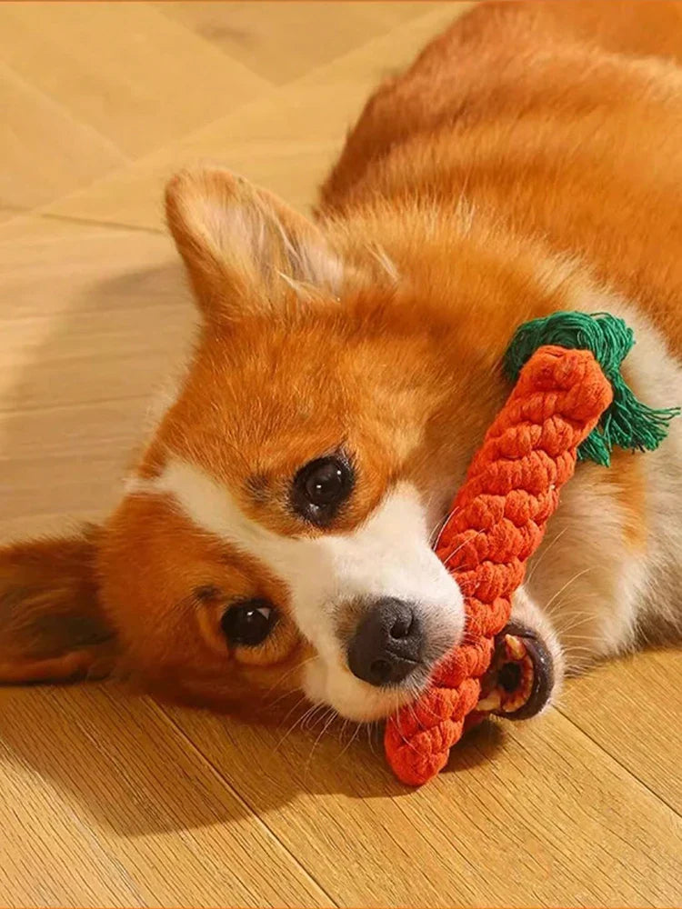 Hand-Woven Cotton Rope Dog Toy - Teeth Resistant Natural Chew