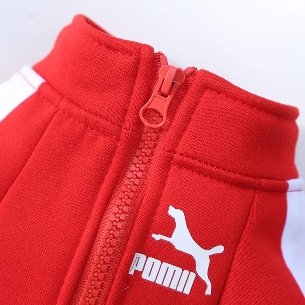 Cozy Dog Sweater - Winter Pet Clothing