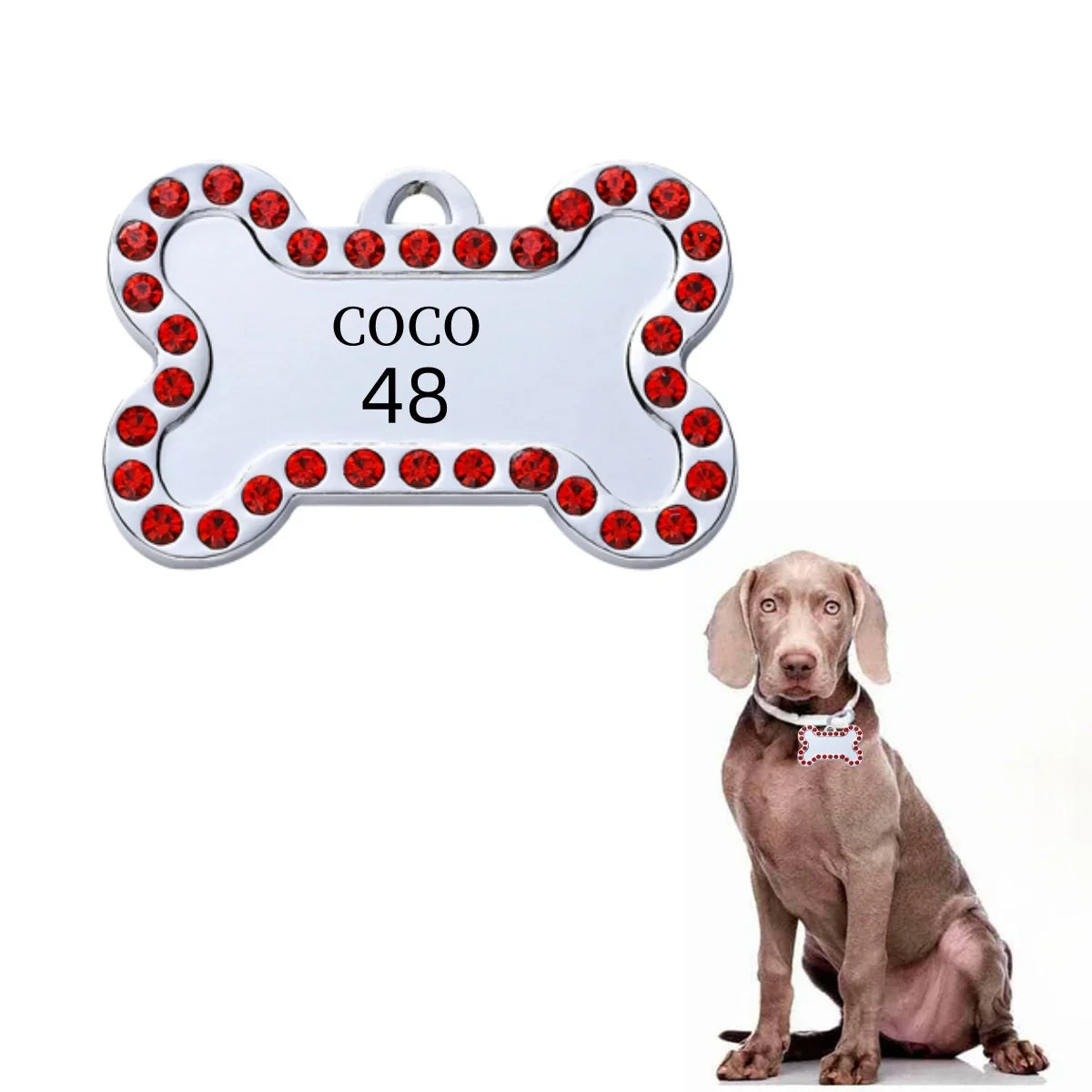 Custom Pet ID Tag - VIP Engraved Safety Nameplate