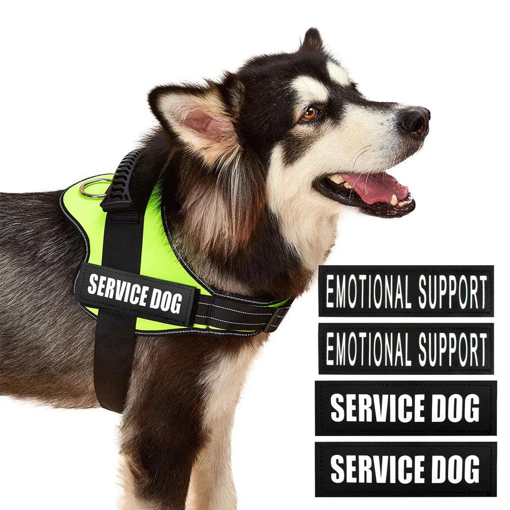 Safe No-Pull Dog Harness - Purrfect Pet Kingdom