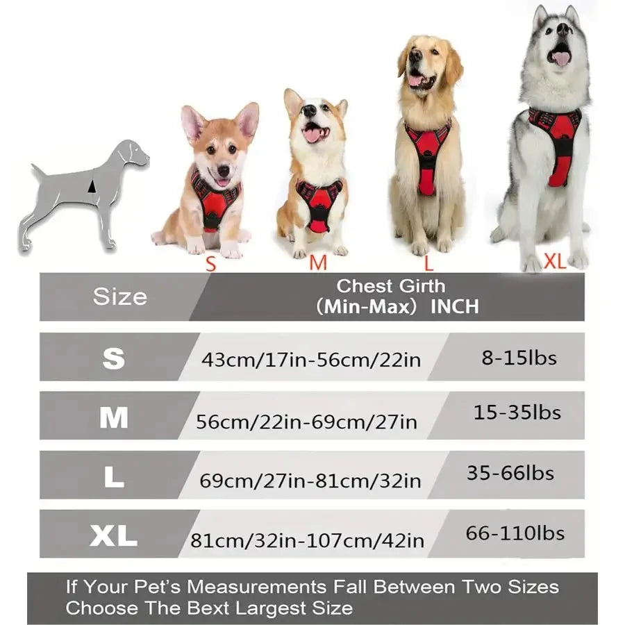 Dog Collar, Harness & Leash Set – Leather for Small & Medium Dogs